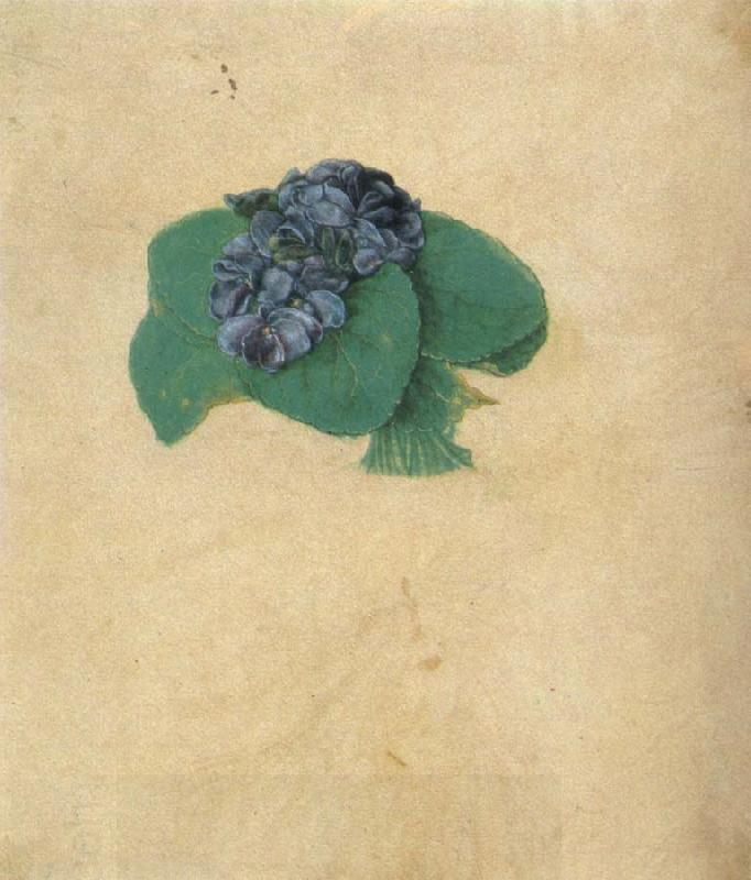 Albrecht Durer A Nosegay of Violets
